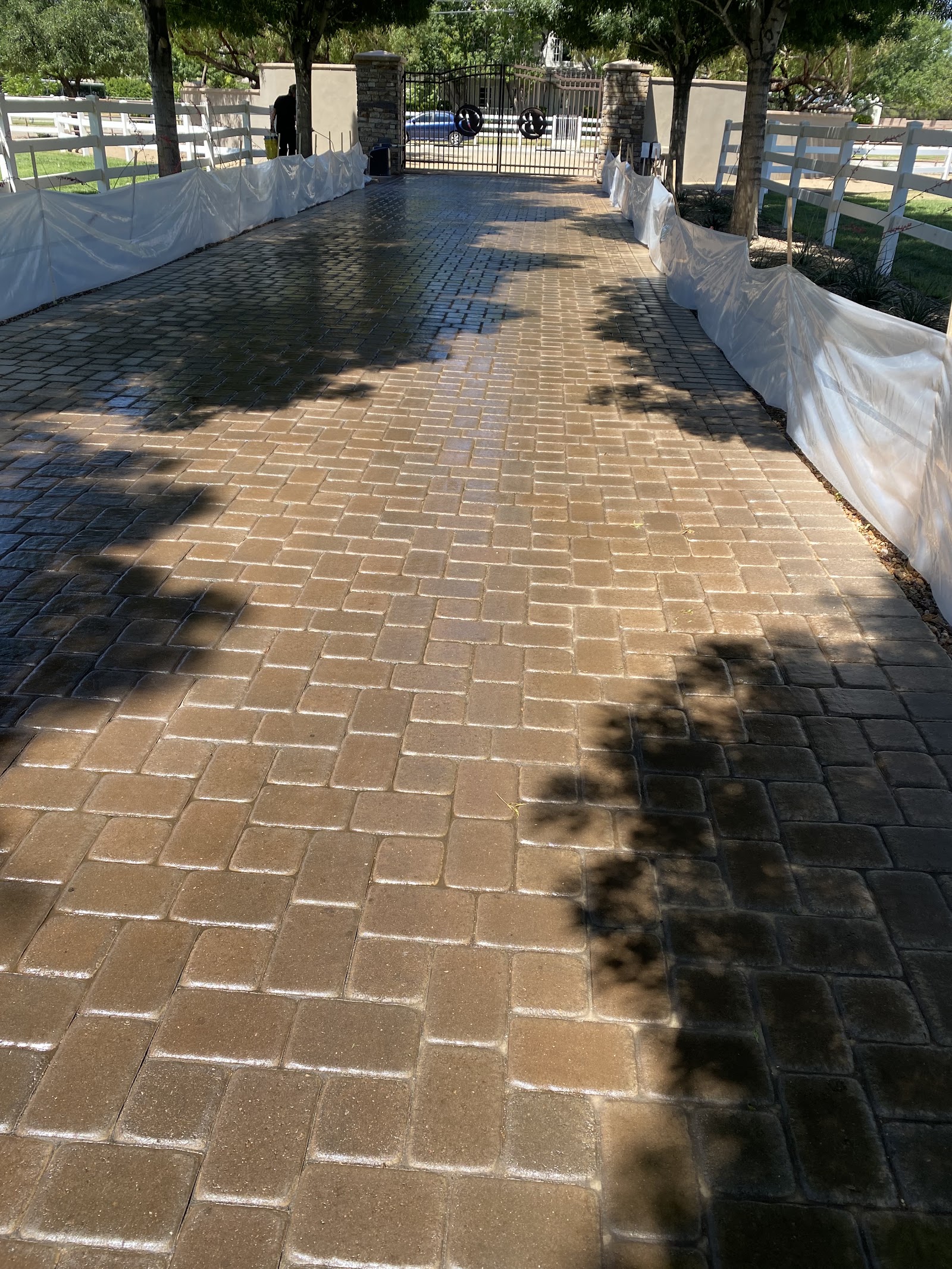 Long paver driveway freshly cleaned with protective plastic sheeting along the fences
